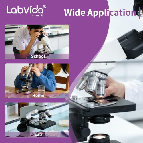 100pcs Frosted Microscope Slides, Dim.75x25x1mm, LVQ006A - color: LVQ006A