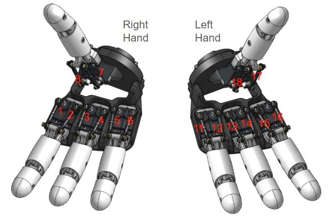 Seeed Studio Amazing Hand, The Open-Source Robotic Hand Developer Kit (Right Hand)
