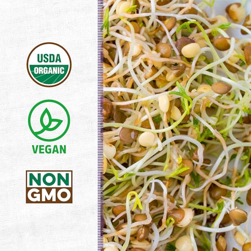 Back to The Roots 100% Organic 5-Part Salad Seeds | 1 Pound Non-GMO | Nutrient Dense, Easy to Grow, Rich in Fiber - color: Salad Mix 1lb