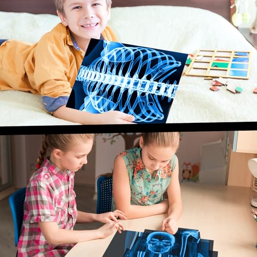 Lineshading 16 Pieces Human x Rays Bones Pretend x Rays for Kids Human Bones Body Educational Science Kit Display Play Table(Blue) - color: Blue