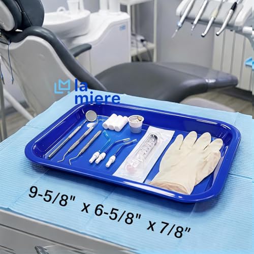 LA MIERE Dental Flat Tray Size F (MINI) - Plastic - 9-5/8" X 6-5/8" X 7/8" Autoclavable Magnetic Blue - color: Magnetic Blue