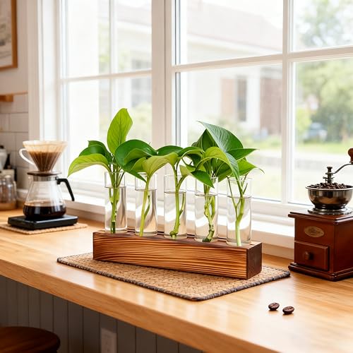 Renmxj Plant Propagation Station, Plant Terrarium with Wooden Stand - size: 5 Test Tube