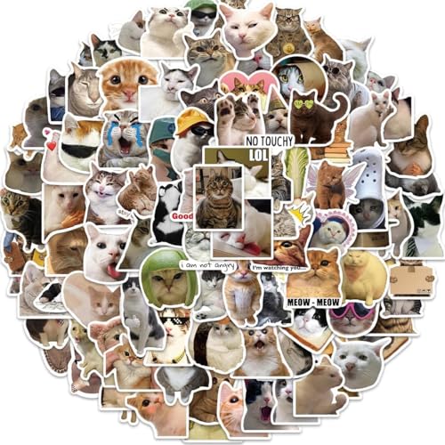 Feng Qi 100PCS Cute Cat Stickers, Funny Kitten Meme Stickers for Laptop Scrapbook Water Bottles Guitar Suitcase Journaling, Waterproof Vinyl Cat Decals for Teens Adults - color: Cat Meme