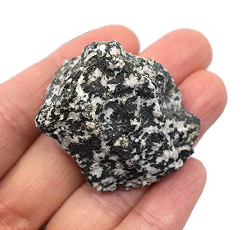EISCO 6PK Raw Diorite, Igneous Rock Specimens - Approx. 1" - Geologist Selected & Hand Processed - Great for Science Classrooms - Class Pack