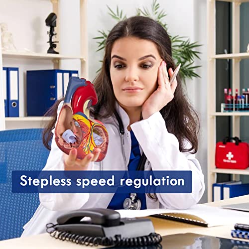 2X Enlarged Anatomical Heart Model - Human Heart Model with Rigth/Left Atrial Appendage Anatomical Model for Science Classroom and Cardiology Study