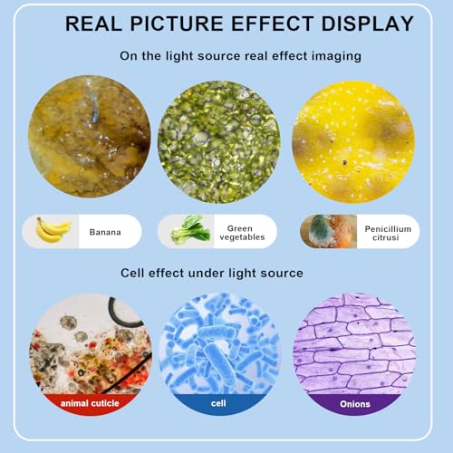 Microscope for Adults WF10x and WF25x eyepieces, 40X-2000X Magnification USB Camera, Microscope for Adults Suitable for Laboratory School (Large Model Binocular Electronic Eyepiece) - color: Bright White