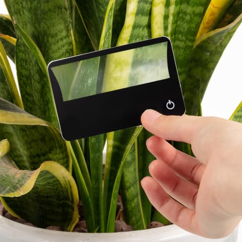 Frienda 8 Pcs 3X LED Credit Card Magnifying Glass, Black - color: Black