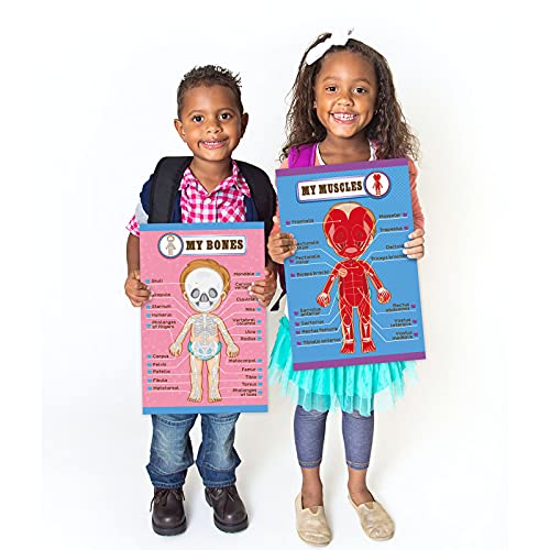 Outus 4 Pcs Human Body Parts Posters for Kids, 11 x 17 Inch