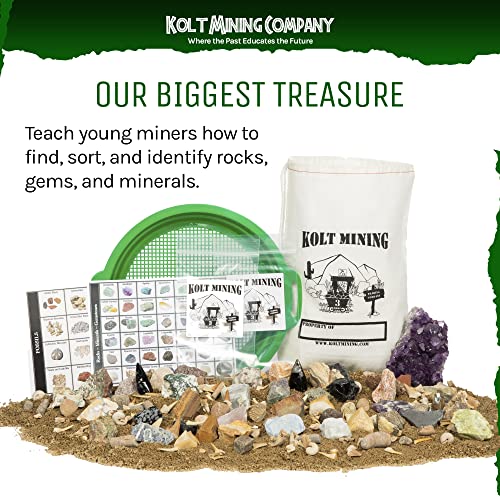Adult Geology Kit: Rocks, Minerals, Fossils, Crystals & Shark Teeth - size: Large
