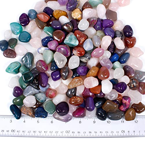 DANCING BEAR 2 Pounds (lbs) Tumbled Polished Natural & Dyed Gem Stones + Educational Color ID Sheet & 28 Page Rock & Mineral Identification Book. Average Stone Size 1 inch, Limited Edition