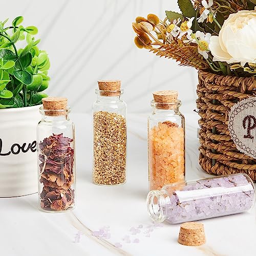 Patelai 72 Pcs Small Glass Jars with Cork Lids, Mini Bottles,40ml/1.3oz - size: 40ml/1.3oz