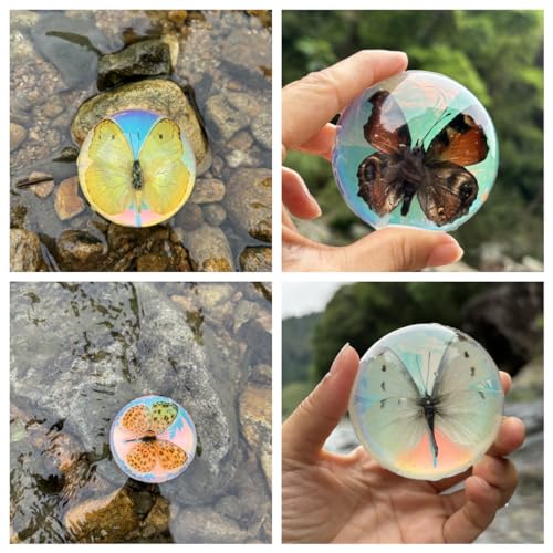 Real Butterfly Specimen in Resin,Insect Specimens for Education - color: 1 Pc Butterfly Specimens