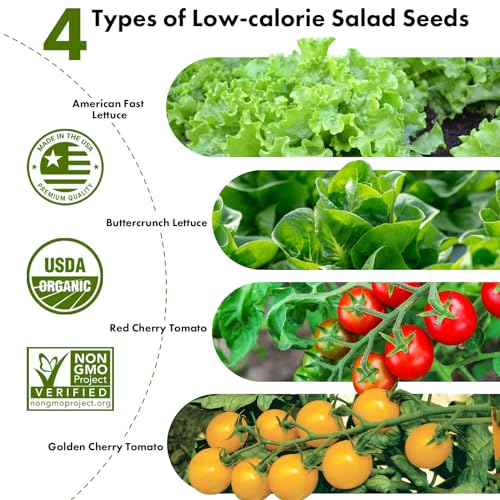 LYKOCLEAN Low-calorie Salad Seed Pods for AeroGarden, Ahopegarden, iDOO Hydroponics Growing System, 350 Seeds+ Including American Fast Lettuce, Buttercrunch Lettuce, Red Tomato, Golden Tomato (7-Pods) - color: Salad, size: 7pods