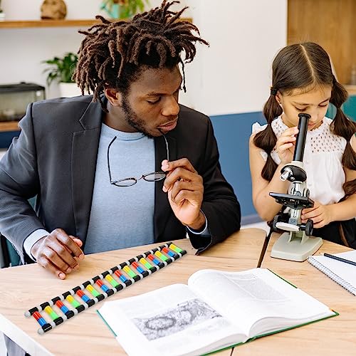 Generic DNA Model Double Helix Model Removable Molecular Kit for Science Class Biology Classroom Display Science Models for Students and Learning