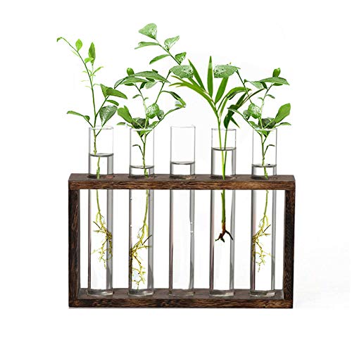 XXXFLOWER Wooden Stand with Test Tube Propagation Station Rack Desktop Hydroponics Terrarium Wall Terrarium for Home Office Plant Hanger Flower Vases Wall Decor Hydroponic Cuttings