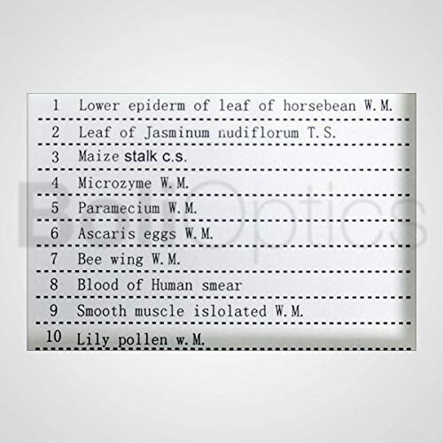 BoliOptics 10 Prepared Microscope Slides General Biology Specimen Set Plant Animal Human Anatomy Cells for Students Hobbyists Beginners Kids Homeschool, SL39901003