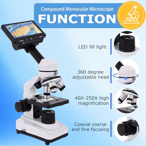 Microscope for Kids & Adults, 40X-2500X High-Power Compound Microscope for Students (Gray White) - color: gray white