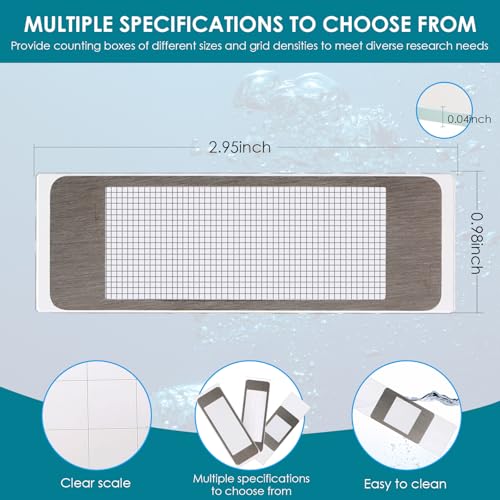 Sedgwick-Rafter Plankton Counting Chamber Testing Equipment (1ml 40Grid) - size: 1ml 40Grid