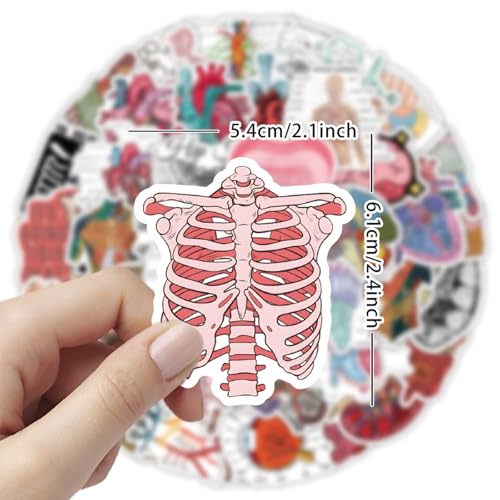100PCS Cool Anatomy Stickers, Biology Anatomy Human Stickers - style: Anatomy Stickers