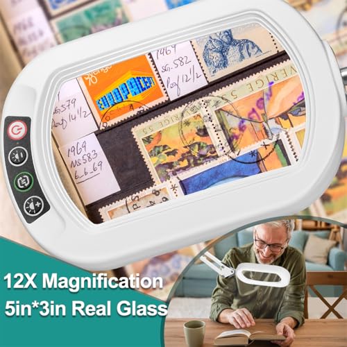 IVMAIE 12X Rectangle Magnifying Glass with Light, 5 Color Modes Stepless Dimmable Magnifier with Stand, LED Lighted Clamp Desk Lamp with Swing Arm, Hands Free for Reading Painting Close Work - White - color: White, size: 17.8-Inch Swing Arm