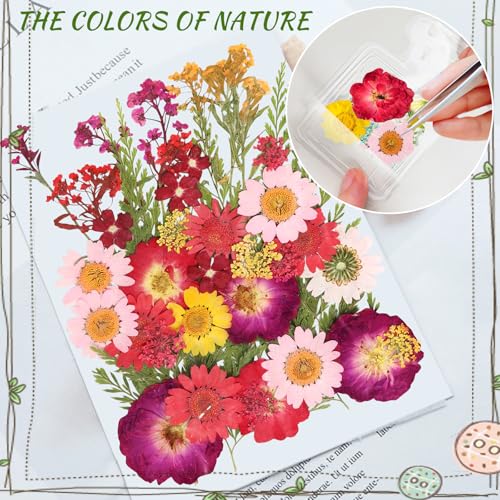 Bookmark Making Kit, Kaluofan 103PCS Transparent Dried Flower Bookmark Kit for School, Come with Dried Flowers Tassels and Tweezer - color: L000, size: 100PCS