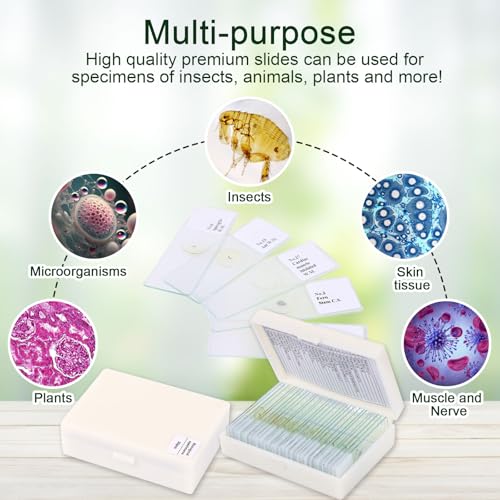 120 Microscope Slides with Specimens, Plant, Insect, Animal, Algae Slide Set for Biological Science Laboratory Basic Biological Science Education - size: 120pcs
