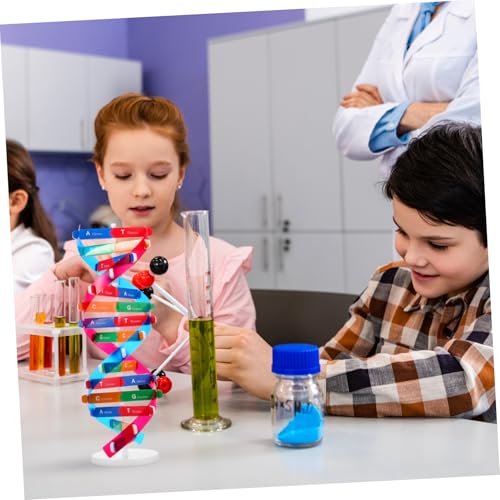 Kisangel DNA Kit Self Double Helix Model Kit Assembling DNA Display Stand Human Genes Learning Toy Biological Teaching Aid Science Molecular Model Kit