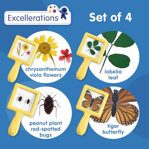 Environments Toddler, Preschool Early STEM, Specimen Viewers for Kids, Science Education Set of 4 - style: Specimens Set #4
