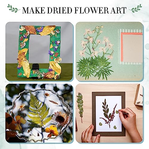 Aboofx Large Wooden Flower Pressing Kit, 10.8"x6.9" 6 Layers - size: 10.8" x 6.9" 6 Layers