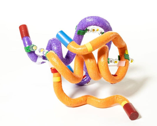 Insulin MRNA to Protein Kit© 6-Group Set