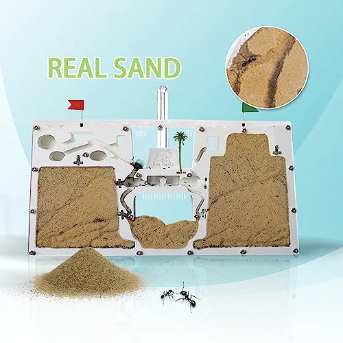 ELNMLHT Ant Farm Castle, Ant Farms with Yellow Sand and Tool Kit, Ant Colony Observation Kit, Ant Viewing Habitat Science Kit, Educational & Learning Science Kit for Kids, Adults, Student - color: Ant Farm C