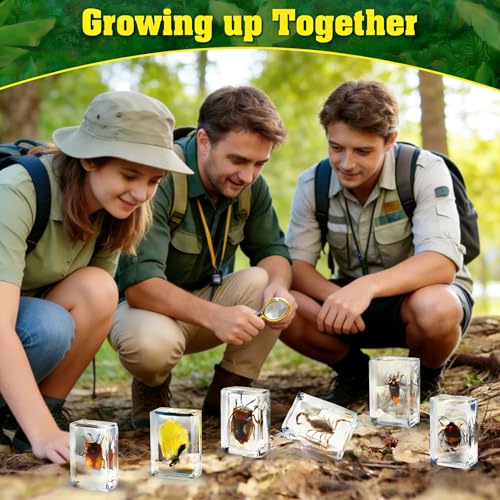 15 Real Insect Resin Specimens Set - Various Real Bug Specimens in Resin for Science Education, Classroom Biology, Bug Observation Kit with Storage Bag, Magnifying Glass & Instructions