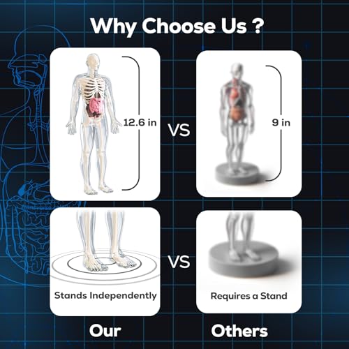 GobiDex Human Body Skeleton Model Kit, Glow in The Dark Science Kit for Kid