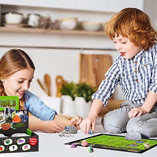 12 Natural Rock & Mineral Dig Kit, STEM Toy for Kids, Party Favors