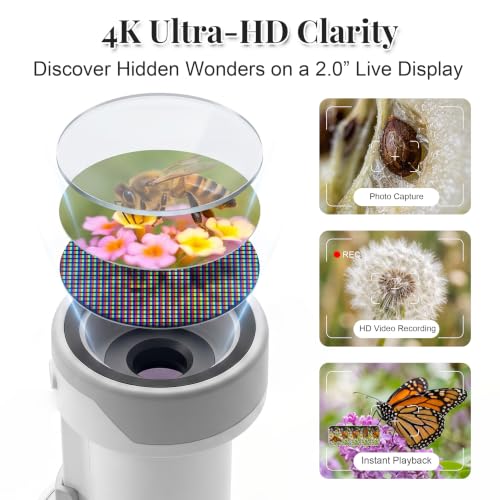 1000X Handheld Digital Microscope for Kids, Portable Microscope with IPS Round Screen, SD Card for Photos & Video, Slides Kit, Rechargeable, Kids Toys for Girls Boys Ages 3-12 (White Gray) - color: White Gray