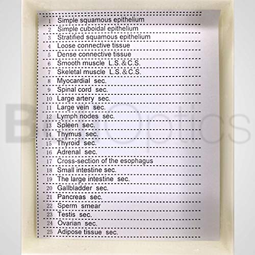 BoliOptics 25 Prepared Microscope Slides Human Biology Specimen Set Human Anatomy Organ Tissue Cells for Students Hobbyists Beginners Kids Homeschool Medical School, SL39901005