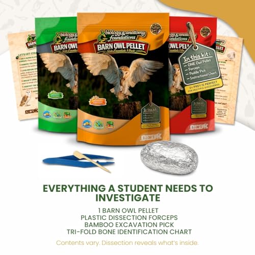 Barn Owl Pellets for Dissection, Solo Essentials Kit, Large 1-Pack by OBDK - size: Jumbo (2.5 inches and Larger)