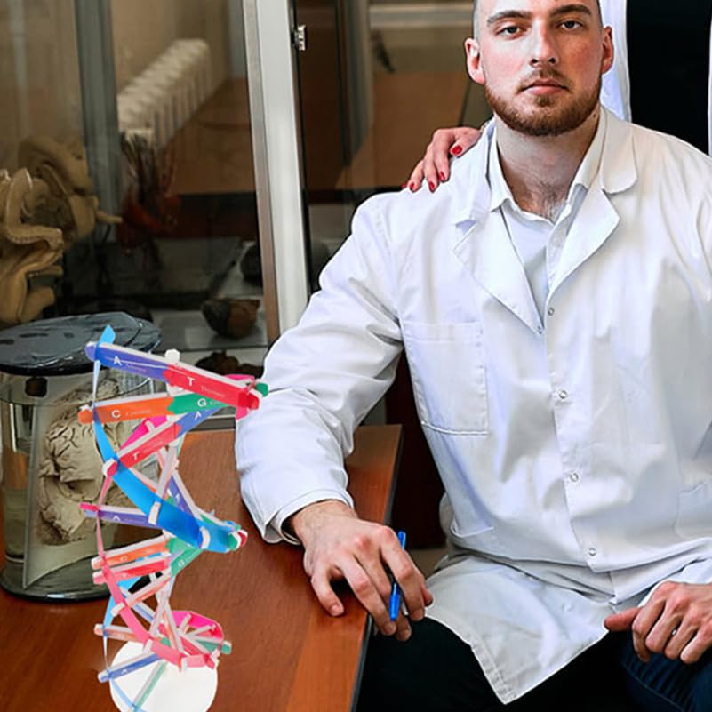 DNA Model Kit 3Pcs DIY Double Helix Molecular Model for Biology
