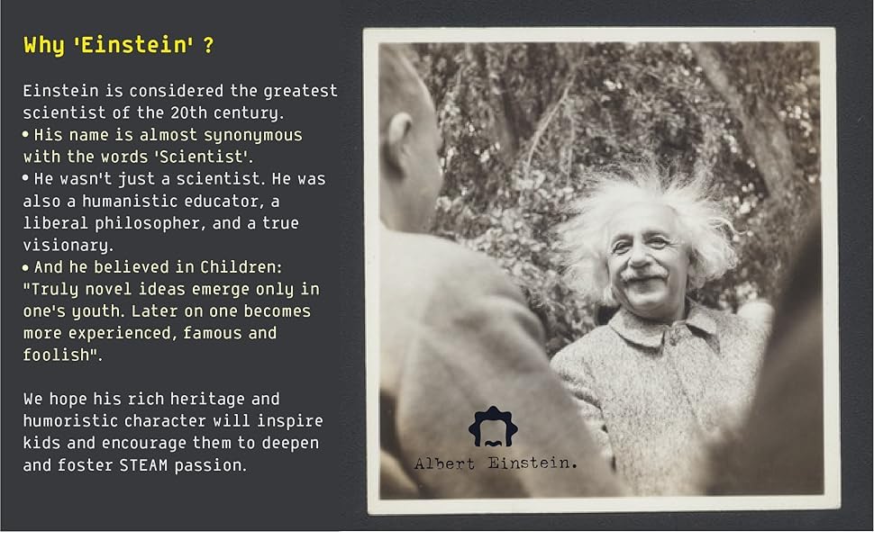 2026 Einstein Human Body Science Advent Calendar. Includes Original STEM Experiments, a 12-inch Model with 16 Detachable Organs, a Printed Guide and factbook, Plus Daily Step-by-Step Videos