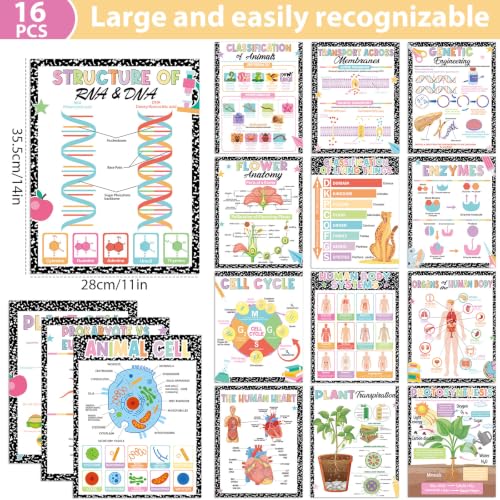 Yakydesign 16PCS Composition Life Science Posters High School Classroom Decoration Biology Poster Charts Classroom Supplies Biology Education Bulletin Board for Teachers School Office Wall Door Decor