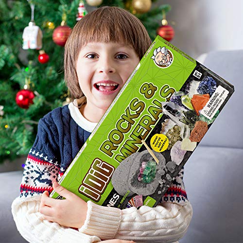 Rocks & Minerals Dig Kit - 12 Pack Real Gemstone Excavation Bricks, Crystals, Pyrite, Amethyst Archeology Digging Toys, STEM Educational Gift Box Party Favors for Kids Boys Girls Age 6+