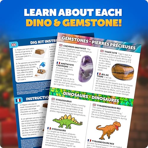 Blue Marble Science Surprise Christmas Ornament Dig Kits - 4 Ornaments with Mini Gemstone and Dinosaur Digs Inside, Includes Tools and Learning Guide - style: Dig Kit Ornaments