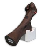 Wilma Wound Foot Model for Nursing and Healthcare Training