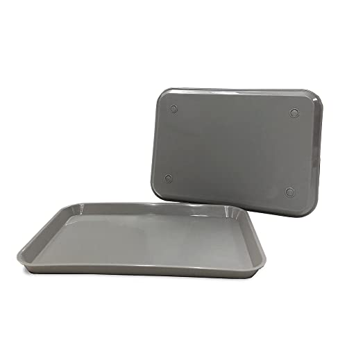 Gray Dental Autoclavable Plastic Instrument Set Up Flat Tray (13.25 Inches x 9.75 Inches, Size B) By PlastCare USA - color: Gray