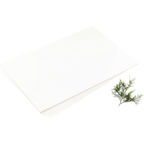Forestry Suppliers Plant Press Driers, 12 Pack, 12 x 18 in, 0.020 in Thick