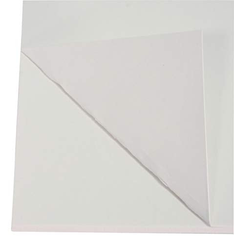 School Smart Railroad Poster Board Paper, 22 x 28 Inches, 6-Ply, White, Pack of 25 - color: White, size: 6-Ply, Pack of 25