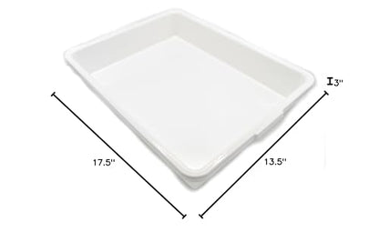 EISCO Laboratory Tray - 17.5 x 13.5 x 3 Inches - Polypropylene Plastic