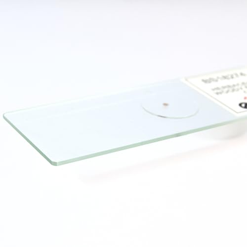 Eisco - Prepared Microscope Slide of Herbaceous Roots Cross Section 25x77mm Glass Slide with Stained Plant Tissue Structures
