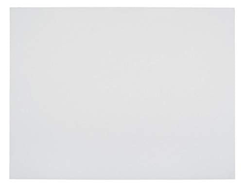 School Smart Railroad Poster Board Paper, 22 x 28 Inches, 6-Ply, White, Pack of 25 - color: White, size: 6-Ply, Pack of 25