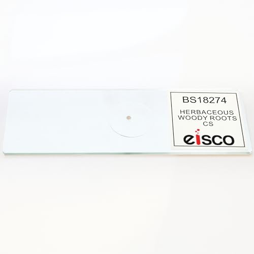 Eisco - Prepared Microscope Slide of Herbaceous Roots Cross Section 25x77mm Glass Slide with Stained Plant Tissue Structures